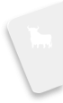 Fiduciary company